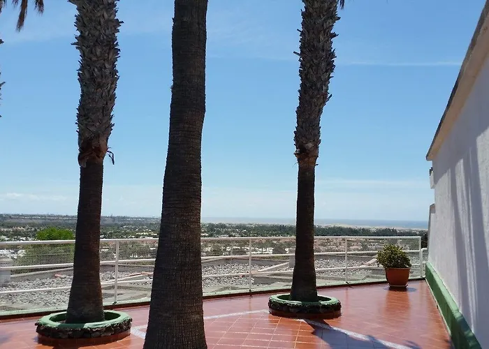 Vista Oasis 2*