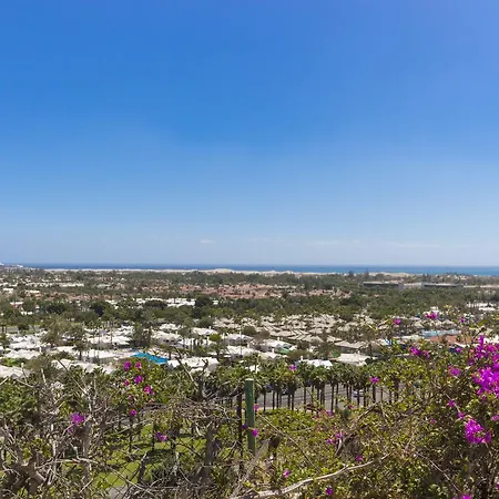 Vista Oasis 2*
