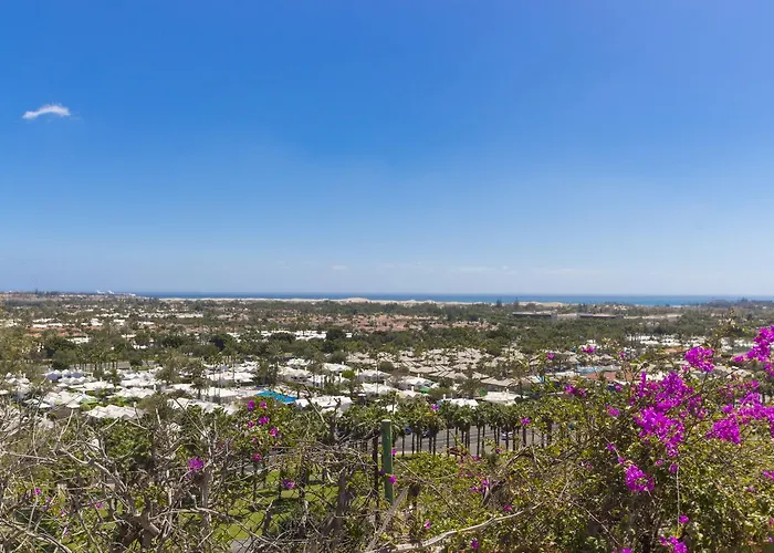 Vista Oasis 2*